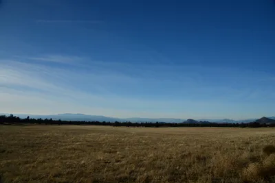 DSC_2985 (Large).JPG